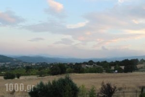 Dryades Guesthouse_holidays_in_Hotel_Macedonia_Grevena_Perivolaki