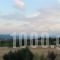 Dryades Guesthouse_holidays_in_Hotel_Macedonia_Grevena_Perivolaki