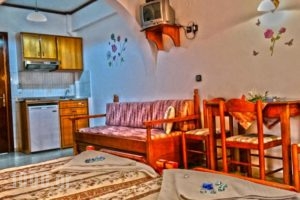 Golden Beach Studios_best deals_Hotel_Cyclades Islands_Naxos_Naxos chora