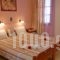 Golden Beach Studios_best prices_in_Hotel_Cyclades Islands_Naxos_Naxos chora