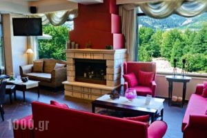 Melegos Hotel_lowest prices_in_Hotel_Central Greece_Evritania_Karpenisi