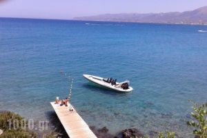 Skajado Holiday Apartments_lowest prices_in_Apartment_Crete_Heraklion_Chersonisos