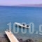 Skajado Holiday Apartments_lowest prices_in_Apartment_Crete_Heraklion_Chersonisos