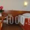 Hotel Kiani Akti_holidays_in_Hotel_Peloponesse_Achaia_Selianitika