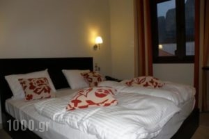 Meteoritis_best deals_Hotel_Thessaly_Trikala_Kastraki