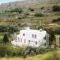 Holiday Home Andros Island C. With A Fireplace 03_accommodation_in_Hotel_Cyclades Islands_Andros_Andros City