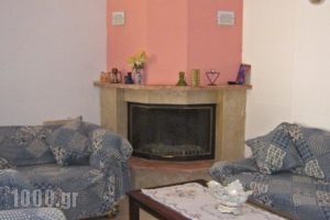 Holiday Home Andros Island C. With A Fireplace 03_travel_packages_in_Cyclades Islands_Andros_Andros City