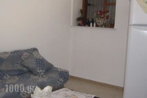 Holiday Home Andros Island C. With A Fireplace 03_lowest prices_in_Hotel_Cyclades Islands_Andros_Andros City