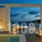 Mykonos Anc_holidays_in_Hotel_Cyclades Islands_Mykonos_Mykonos ora