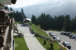 Hotel Magiossi_accommodation_in_Hotel_Thessaly_Trikala_Neraidochori