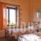Villa Zara_holidays_in_Villa_Crete_Chania_Tsivaras