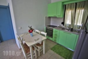 Surf Beach Apartments_best prices_in_Apartment_Crete_Lasithi_Palaekastro