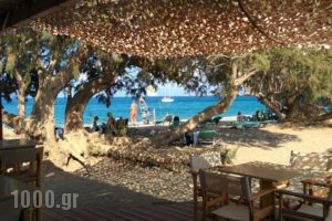 Surf Beach Apartments_holidays_in_Apartment_Crete_Lasithi_Palaekastro