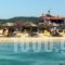 Apartments Mari_accommodation_in_Apartment_Macedonia_Halkidiki_Poligyros