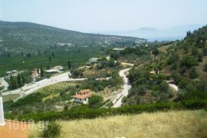 Avra_travel_packages_in_Peloponesse_Argolida_Nea Epidavros
