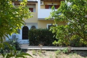 Socrates Studios & Apartments_best deals_Apartment_Ionian Islands_Corfu_Aghios Stefanos