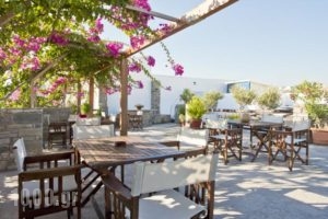 Stefano Apartments_best deals_Apartment_Cyclades Islands_Paros_Piso Livadi