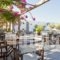 Stefano Apartments_best deals_Apartment_Cyclades Islands_Paros_Piso Livadi