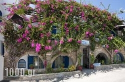 Stefano Apartments in Piso Livadi, Paros, Cyclades Islands