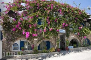 Stefano Apartments_accommodation_in_Apartment_Cyclades Islands_Paros_Piso Livadi