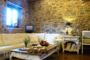 Argyriou Wine Tasting Guest House_best prices_in_Hotel_Central Greece_Fokida_Gravia
