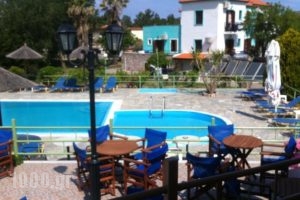 Ourania Studios_accommodation_in_Hotel_Aegean Islands_Lesvos_Petra