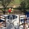 Ourania Studios_best deals_Hotel_Aegean Islands_Lesvos_Petra