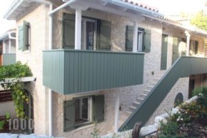 Wild Sea Apartments_accommodation_in_Apartment_Ionian Islands_Lefkada_Lefkada Chora