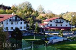 Naoussa Mountain Resort_accommodation_in_Hotel_Macedonia_Imathia_Naousa