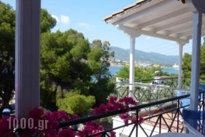 Odyssey Suites_best deals_Hotel_Piraeus islands - Trizonia_Trizonia_Trizonia Rest Areas