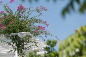Casa Bianca_best deals_Hotel_Cyclades Islands_Sandorini_Imerovigli