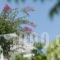 Casa Bianca_best deals_Hotel_Cyclades Islands_Sandorini_Imerovigli