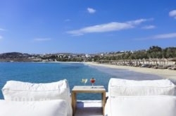 Aphrodite Beach Hotel & Resort in Mykonos Chora, Mykonos, Cyclades Islands