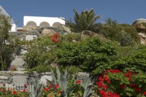 Mykonos View Hotel_travel_packages_in_Cyclades Islands_Mykonos_Mykonos Chora