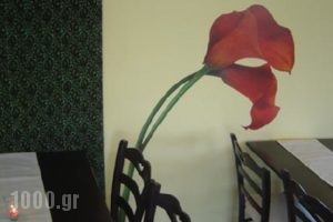 Ktima Bartholini_best deals_Hotel_Macedonia_Pieria_Methoni