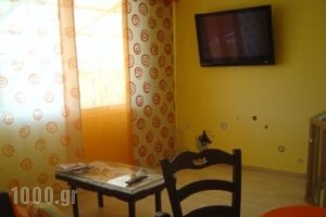 Ktima Bartholini_holidays_in_Hotel_Macedonia_Pieria_Methoni
