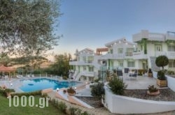 Villa Life in Athens, Attica, Central Greece