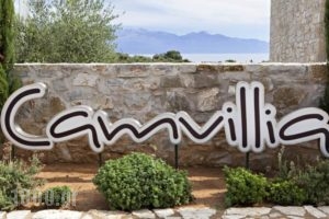 Camvillia Resort_holidays_in_Villa_Thessaly_Magnesia_Pilio Area