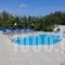 Sami View_best prices_in_Hotel_Ionian Islands_Kefalonia_Fiskardo