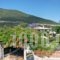 Sunny Garden Apartments_lowest prices_in_Apartment_Peloponesse_Argolida_Archea (Palea) Epidavros