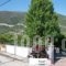 Sunny Garden Apartments_best prices_in_Apartment_Peloponesse_Argolida_Archea (Palea) Epidavros