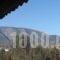 Petros Apartment_travel_packages_in_Central Greece_Attica_Alimos (Kalamaki)