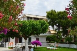 Pension Akrogiali in Amaranthos, Evia, Central Greece