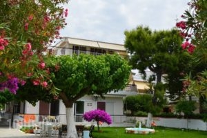 Pension Akrogiali_accommodation_in_Hotel_Central Greece_Evia_Amaranthos