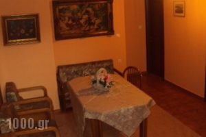 Hotel Aoos_best prices_in_Hotel_Epirus_Ioannina_Papiggo
