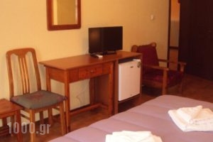 Hotel Aoos_holidays_in_Hotel_Epirus_Ioannina_Papiggo