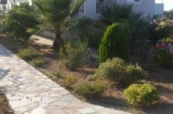 Michelakis Apartments in Sfakia, Chania, Crete