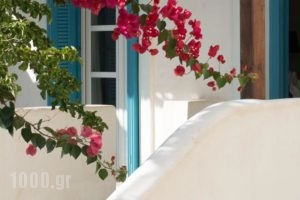 Andros Maisonettes_best deals_Hotel_Cyclades Islands_Andros_Andros City