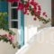 Andros Maisonettes_best deals_Hotel_Cyclades Islands_Andros_Andros City