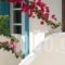 Andros Maisonettes_best deals_Hotel_Cyclades Islands_Andros_Andros City